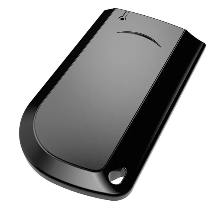 изображение_2025-02-12_024612006