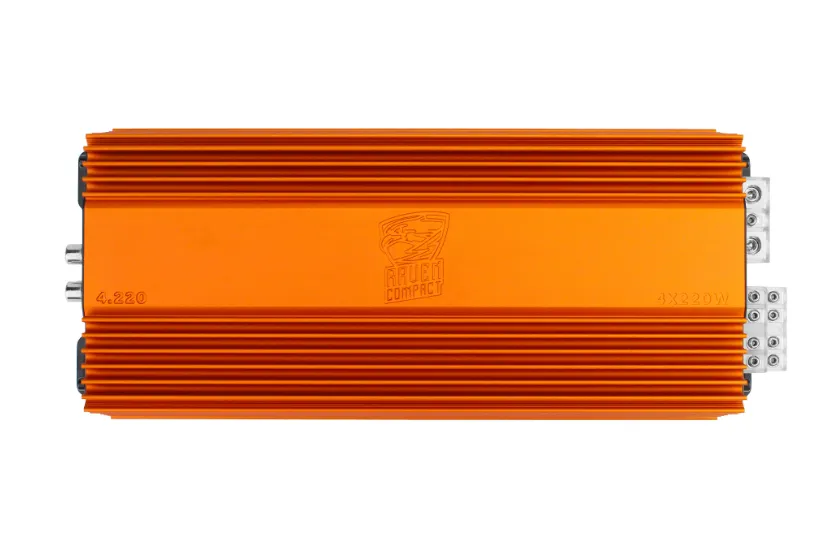  Усилитель 4-канальный DL Audio Raven Compact 4.220 - фото