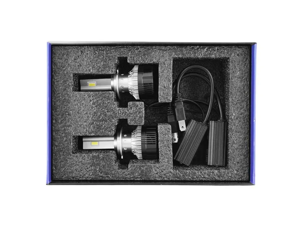 изображение_2023-09-03_233610929