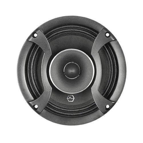 Эстрадная акустика 2 в 1 (мидрейндж + рупор) Ural (Урал) AS-DB165MT - фото