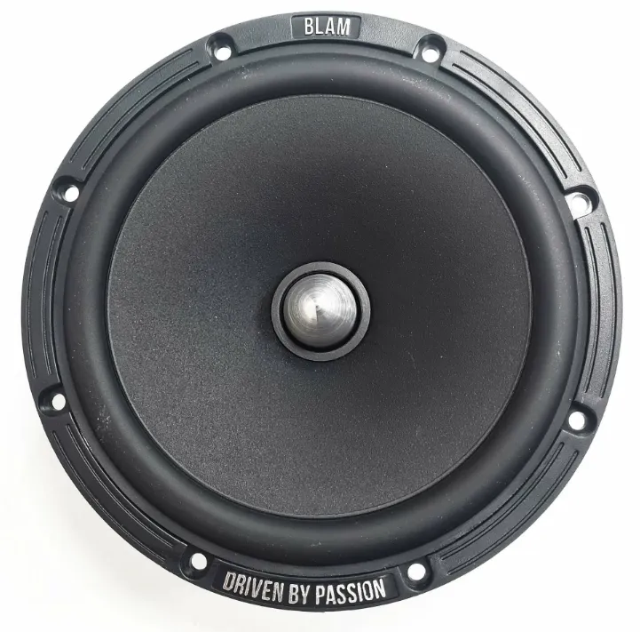 Мидбас BLAM W165 R2 - фото