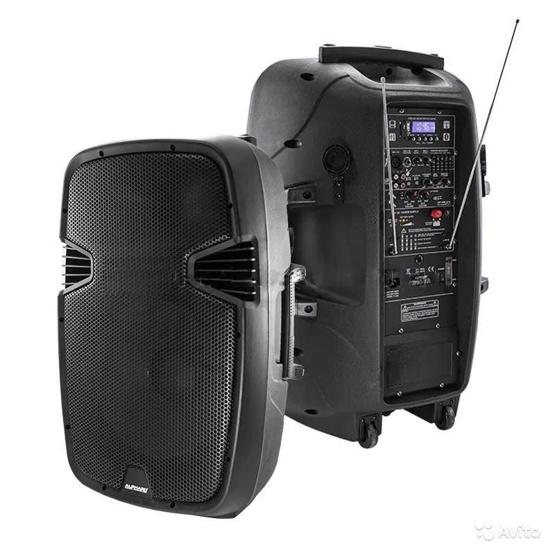 Двухполосая акустическая система ALPHARD B15-7A - фото