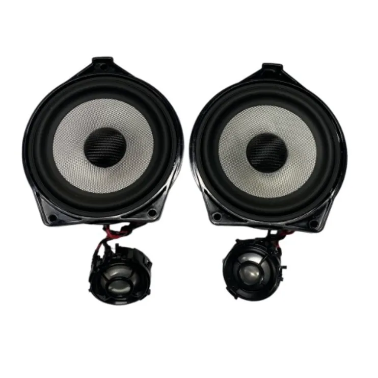 Акустика штатная AMP SMTAG-100MB  - фото