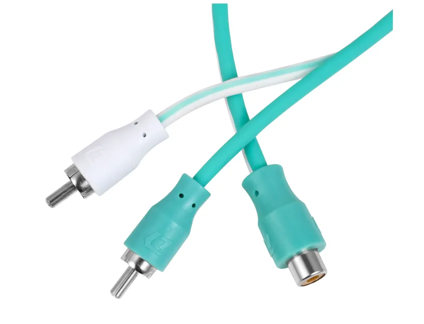 изображение_2024-01-20_115143901