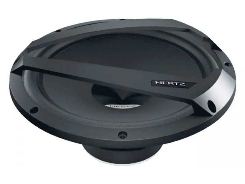 Сабвуфер Hertz DS 250.3 Subwoofer  - фото