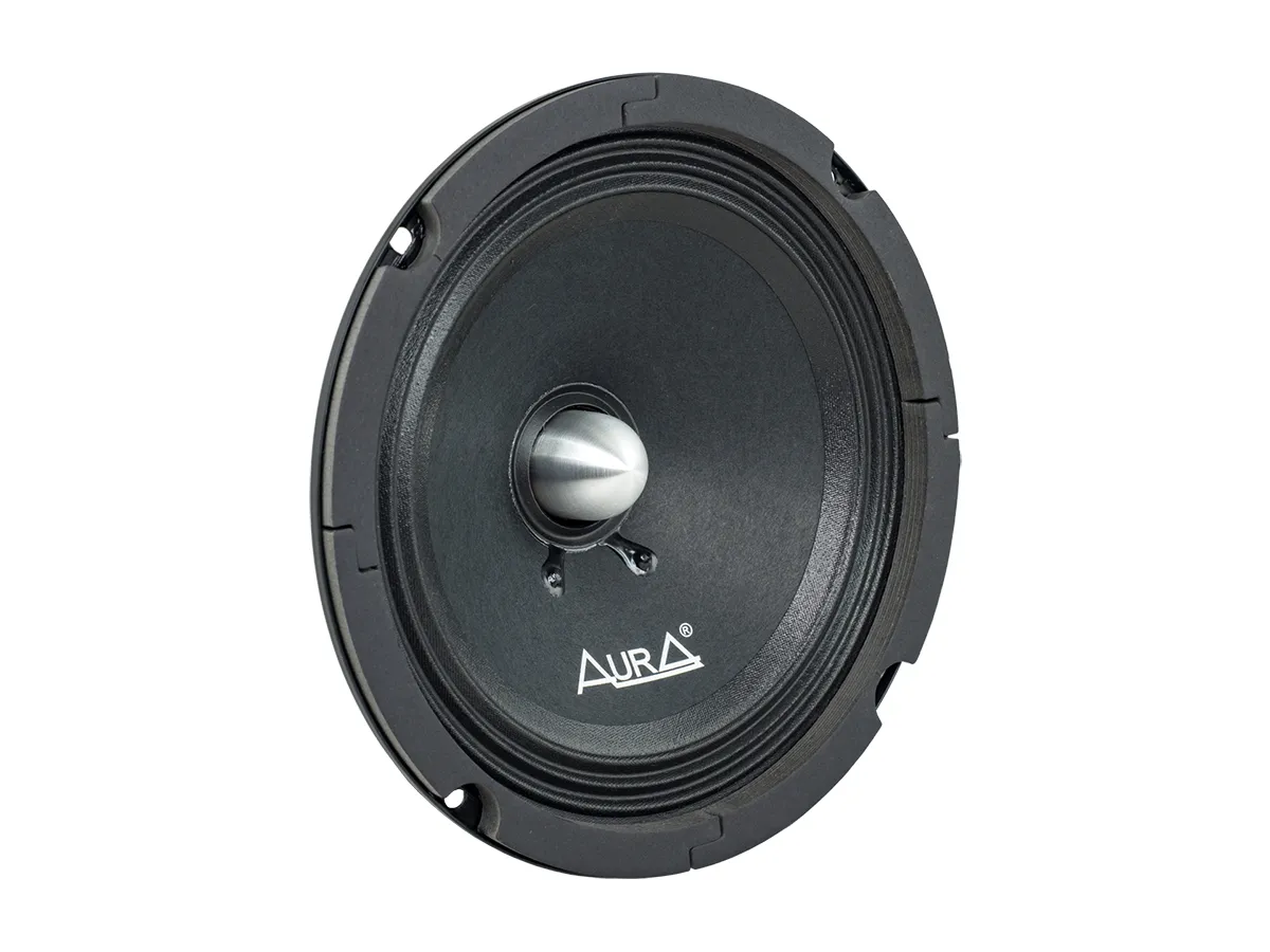 СЧ динамик Aura SM-B654v2 - фото