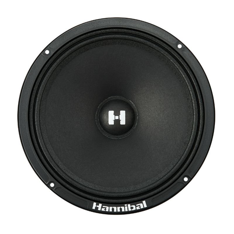 СЧ динамики Deaf Bonce Hannibal HM-8E PRO - фото